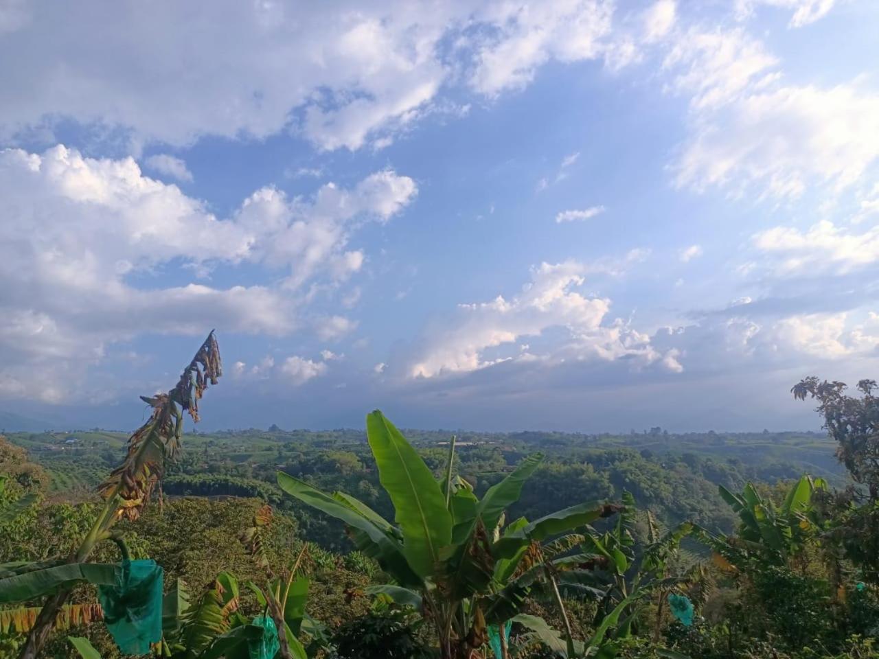 La Miranda Country house